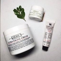 塑料制作的化妆品包装护肤品包装 垃圾分类是分在哪里 最后去了哪里