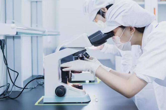 天津尚美研发总监张蕾:紧跟时代潮流,专注中草药化妆品研发