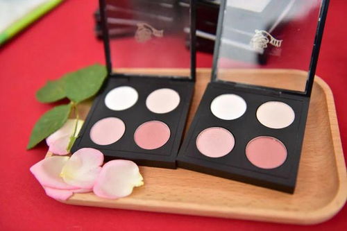 校园蔷薇彩妆 师生共创的绿色美丽之旅