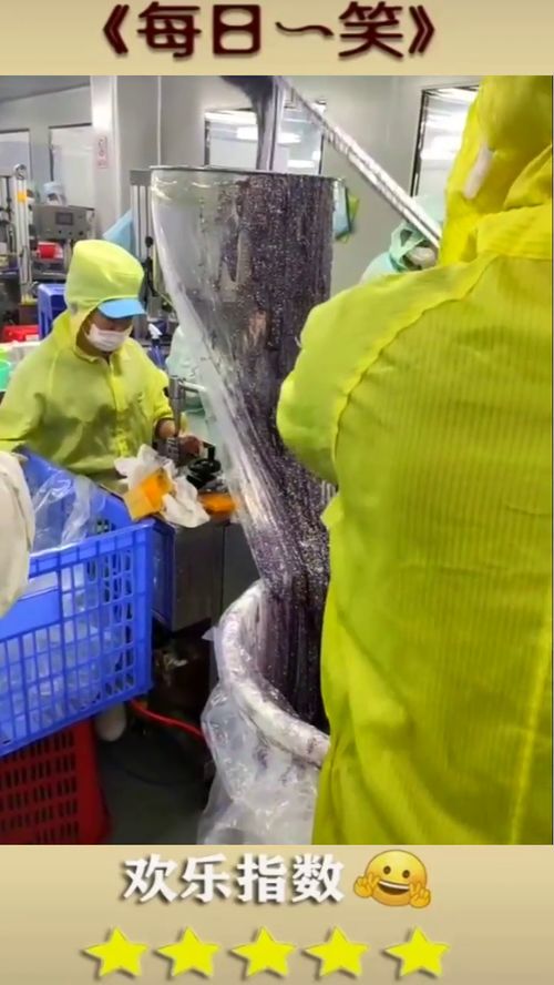 化妆品的制作工厂揭秘 面膜装袋的奇妙过程